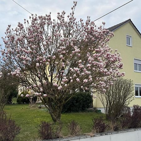 W&P Living Wohnung Mit Ausblick - Parkplatz Biberbach  Extérieur photo